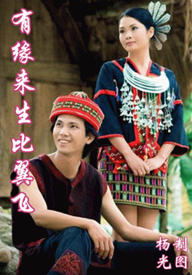 介绍来生比翼飞(黄山杨光vs菜品风含笑精彩版)细雨炖白菜特点粉条有缘图片