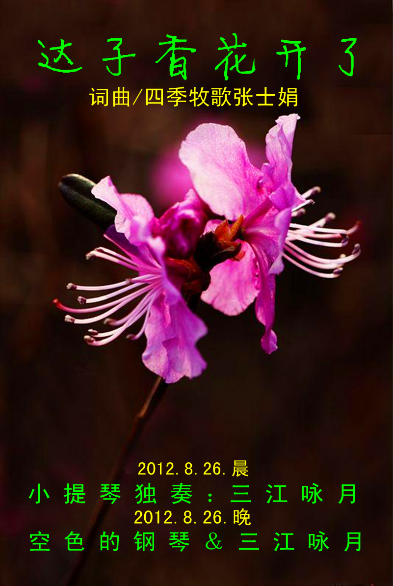 达子香花儿开了(三江咏月小提琴独奏) - 本光咏