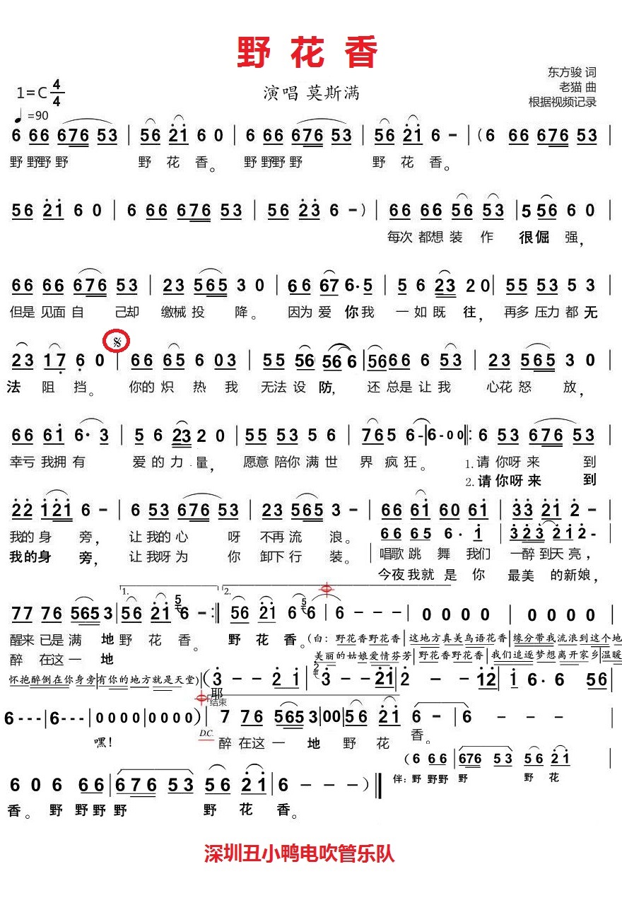 野花香dj雅佳5000电吹管