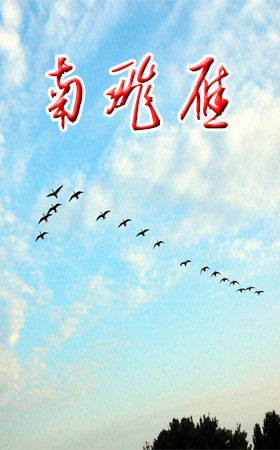 南飞雁