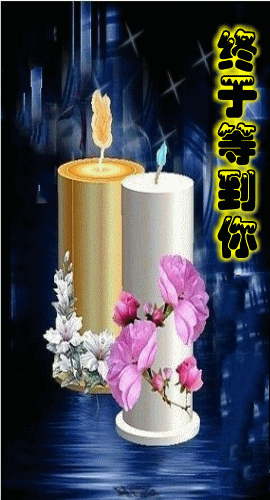 终于等到你 [思思vs眼镜]