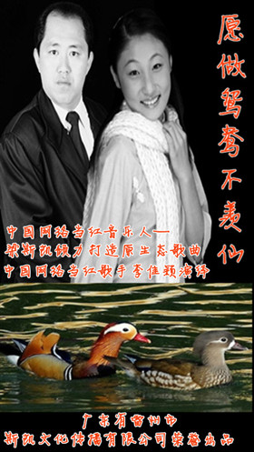 愿做鸳鸯不羡仙简谱_只愿鸳鸯不羡仙图片