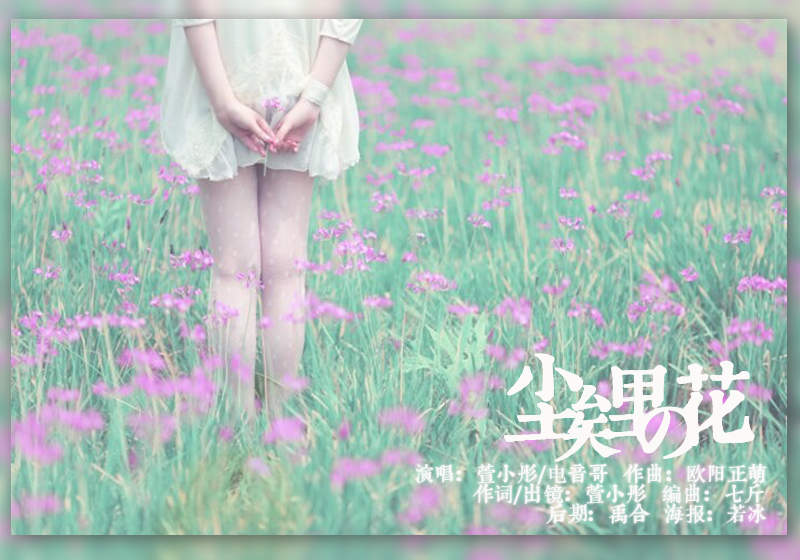 尘埃里花简谱_烟火里的尘埃简谱