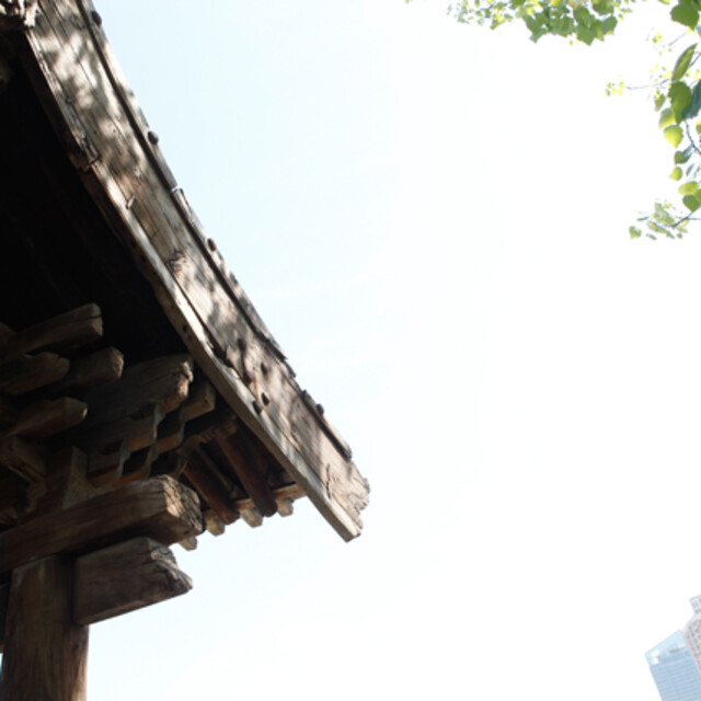 低头屋檐下