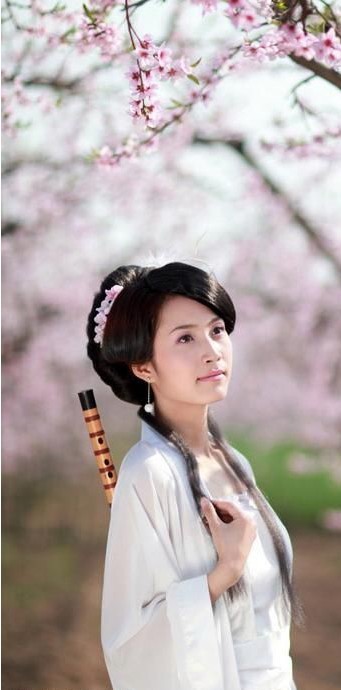 悠悠桃花情简谱_桃花简笔画