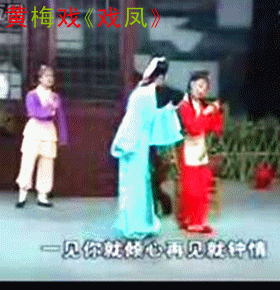 戏凤(黄梅戏《游龙戏凤》选段)对唱 - 梅花琴韵
