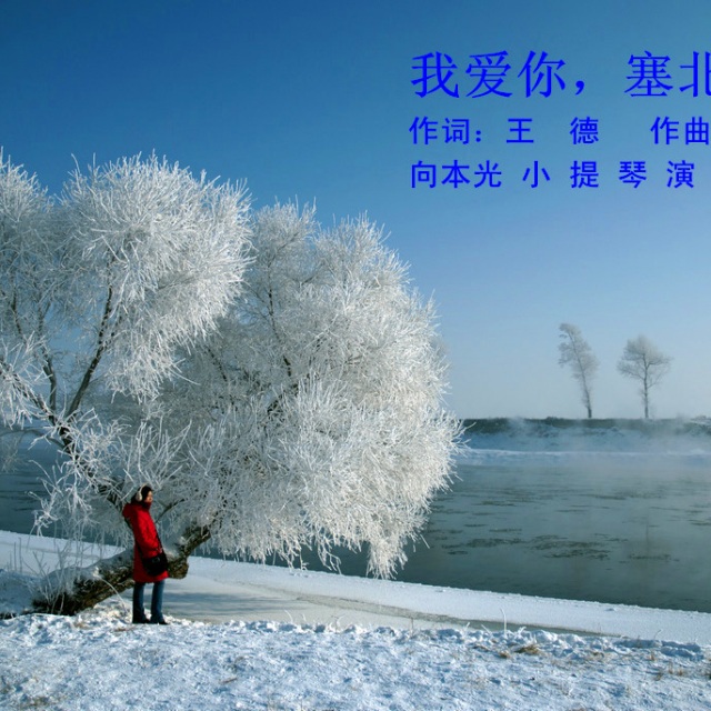 我爱你,塞北的雪图片.jpg