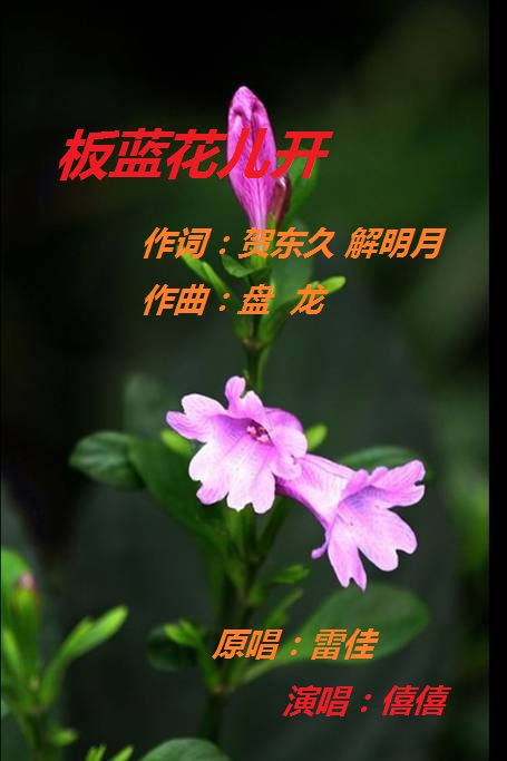 板蓝花儿开(重混版)