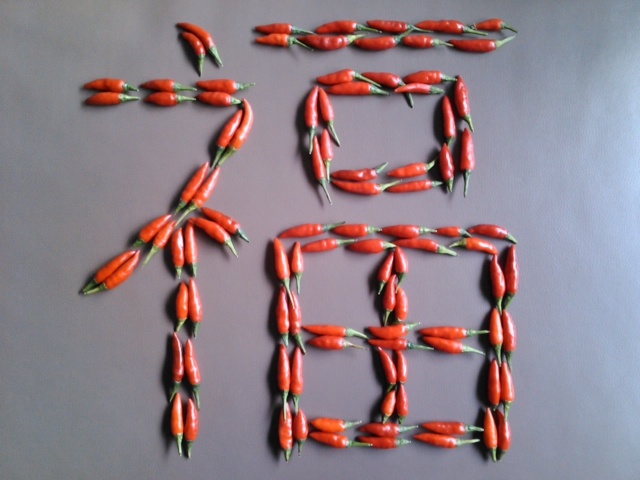 20-9-23ڵ