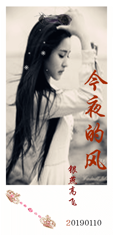 翻唱 今夜的风  演唱:银燕高飞 原唱:程响 分类:翻唱 语种:华语 曲风