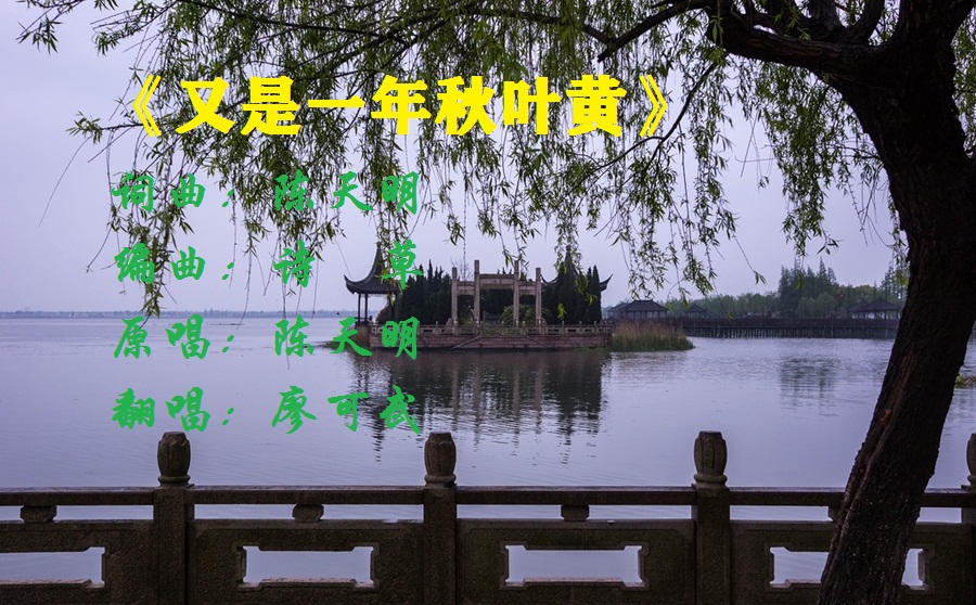 葫芦丝降b调再唱映山红动态曲谱(5)