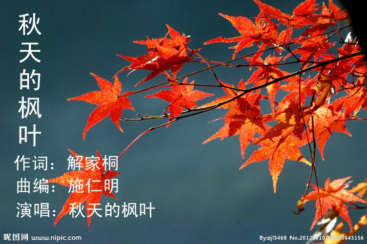 《秋天的枫叶》秋天的枫叶演唱