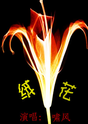 绒花黑鸭子合唱谱