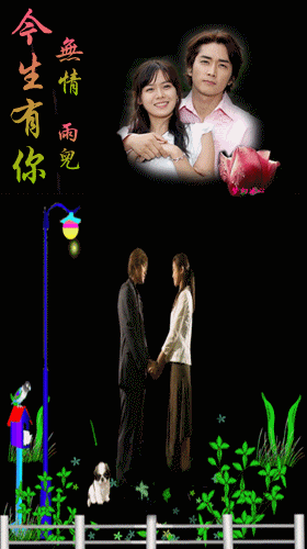 今生有你:无情vs雨儿