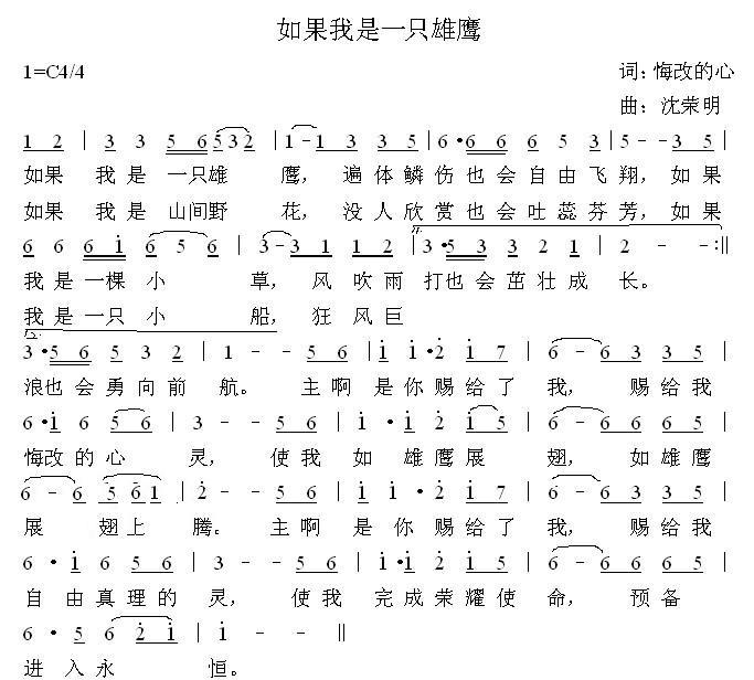 一只鹰简谱_鹰简笔画(3)