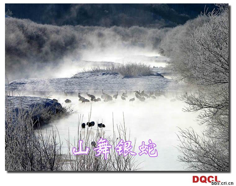 豫剧沁园春雪简谱_沁园春雪 生茂唐诃曲(2)