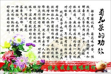 竹篱笆外野菊花简谱_野菊花图片