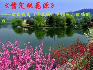 《情定桃花源》