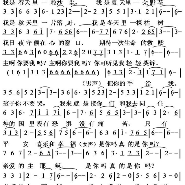 雁子新歌曲谱大全