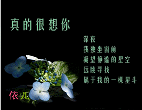 真的好想你