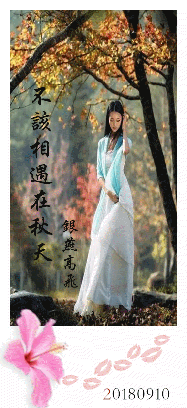翻唱 《不该相遇在秋天》(燕儿))  演唱:银燕高飞 原唱:程响 分类