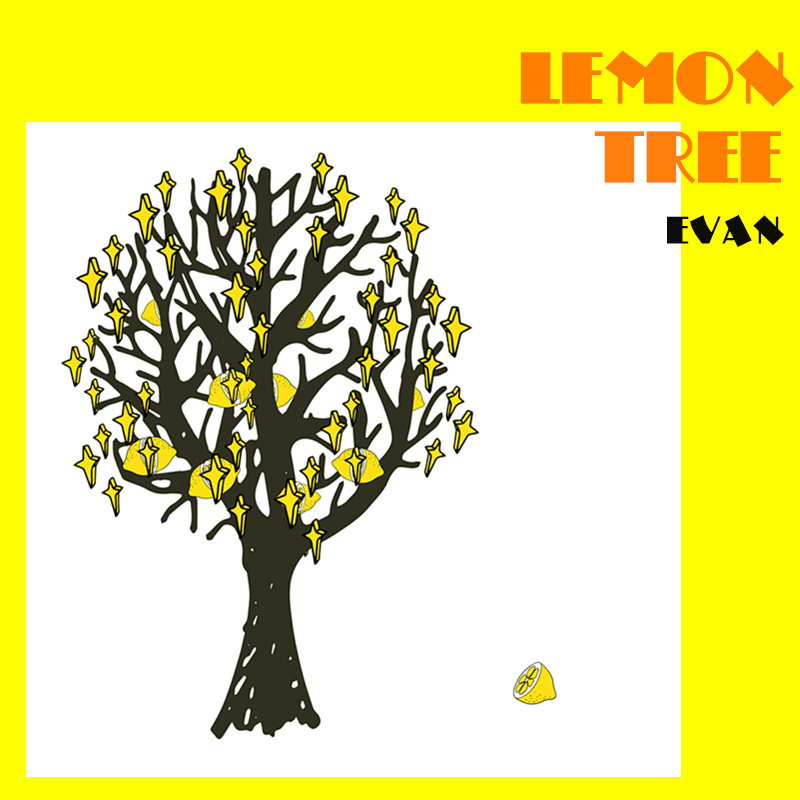 lemon tree钢琴五线谱