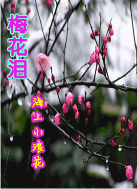 ÷׸贴