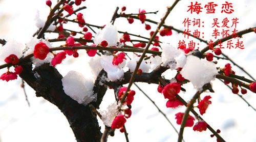 5ab54743bd6236ad679a0b4f9beb86f8.jpg