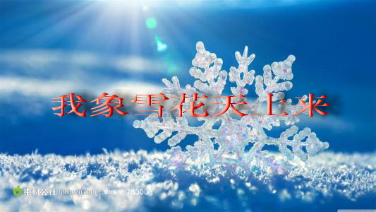 我象雪花天上来简谱_我像雪花天上来简谱