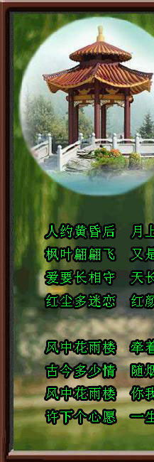 风中花雨楼(毕建新vs黑牡丹)