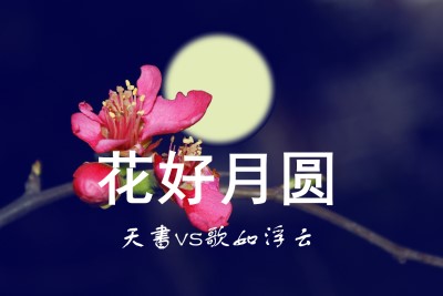 花好月圆夜的歌曲谱_花好月圆夜简谱(2)