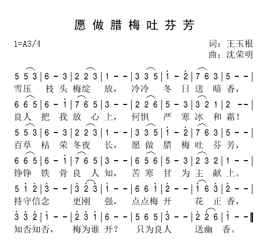 腊梅简谱_腊梅图片