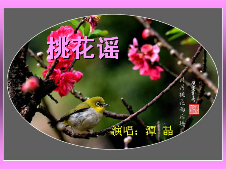 桃花谣