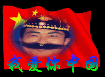 爱我中华