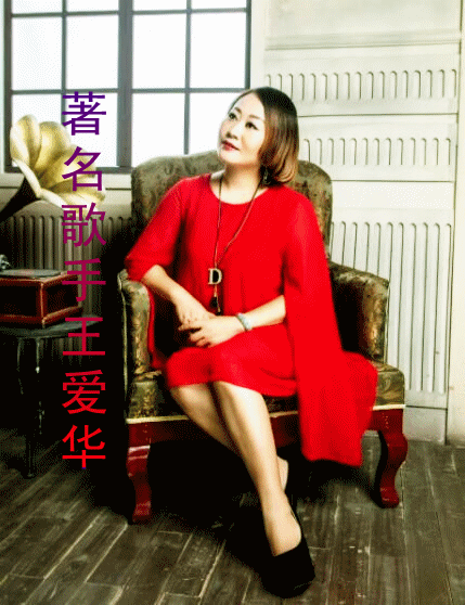 王爱华 - 午夜的泪(dj圣豪 2016 mix)