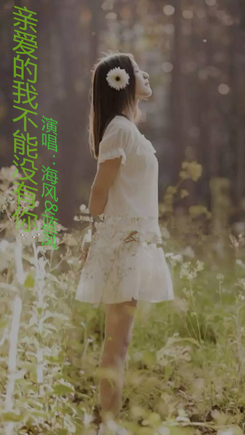 亲爱的我不能没有你简谱_亲爱的我想对你说简谱