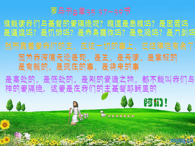 罗马书8章35 37-39节 - 圣经话语 - 最美的爱的相册