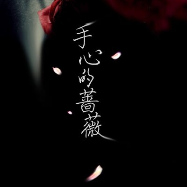 手心的蔷薇 - {海报} - 不大萌的相册 - 5sing中国