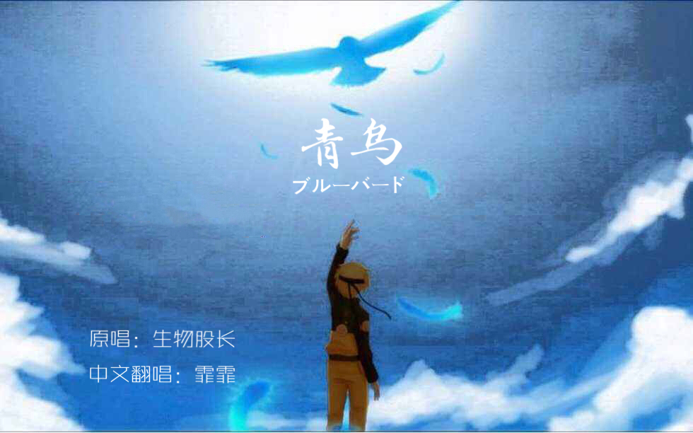 青鸟 - 中文翻唱