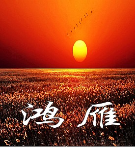 鸿雁(小演唱)