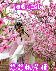 悠悠桃花情简谱_桃花简笔画