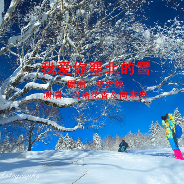 我爱你塞北的雪图片.jpg