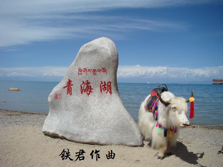 青海湖(白玲丽演唱-已出版)