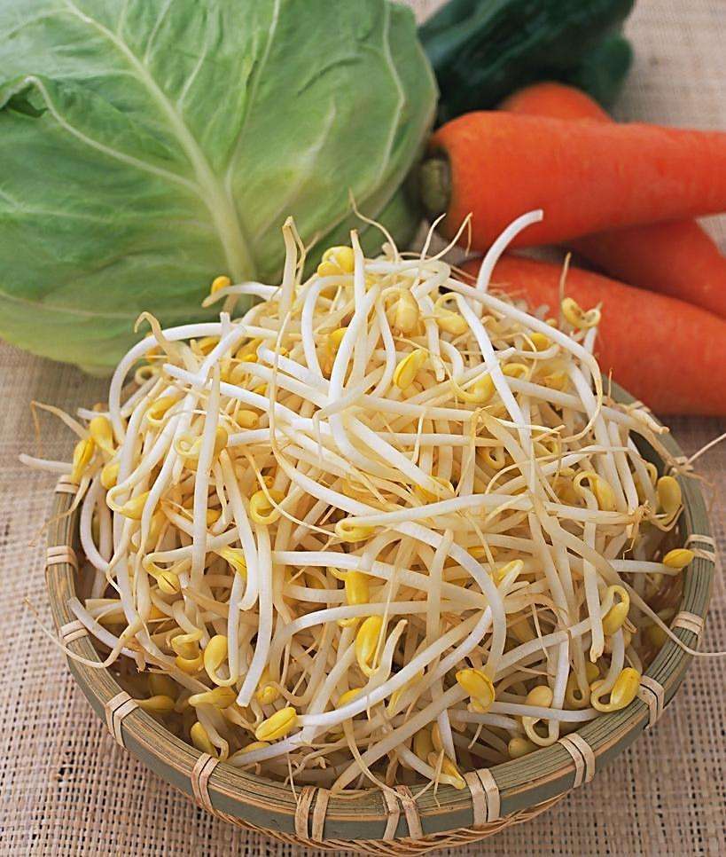 我只是一颗小小的豆芽菜