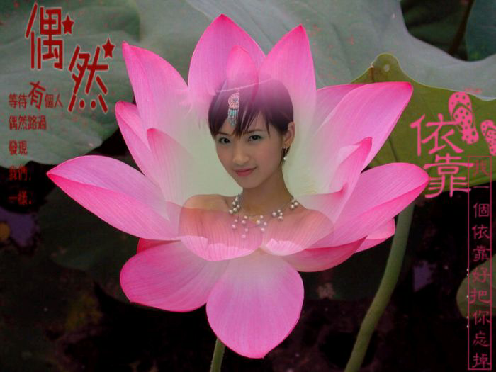 心有莲花 与佛结缘
