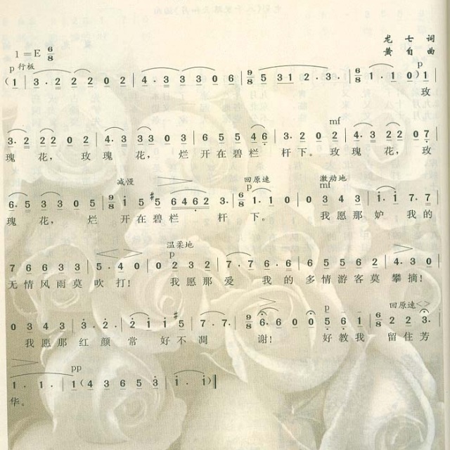 玫瑰三愿 - 名家歌曲曲谱 - 悠然豫人的相册 - 5sing