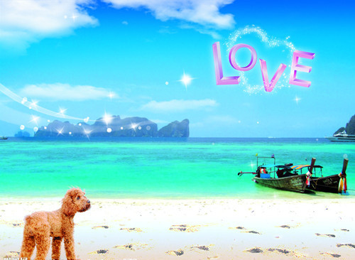a1c8204a5dd8d6c2dad6f11603dc39c4.jpg