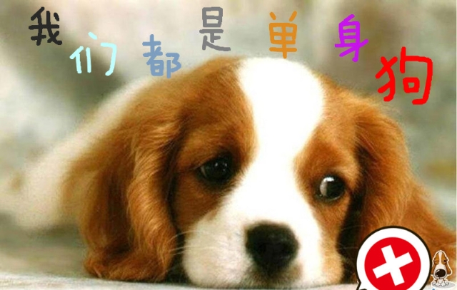 祝天下有情人都是失散多年的兄妹(^o^)/~送给单身的各位亲们 大家