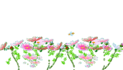 《一封家书梦中花》音乐迷演唱