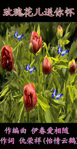 你乐谷动态图 里番工口gif动态图大全